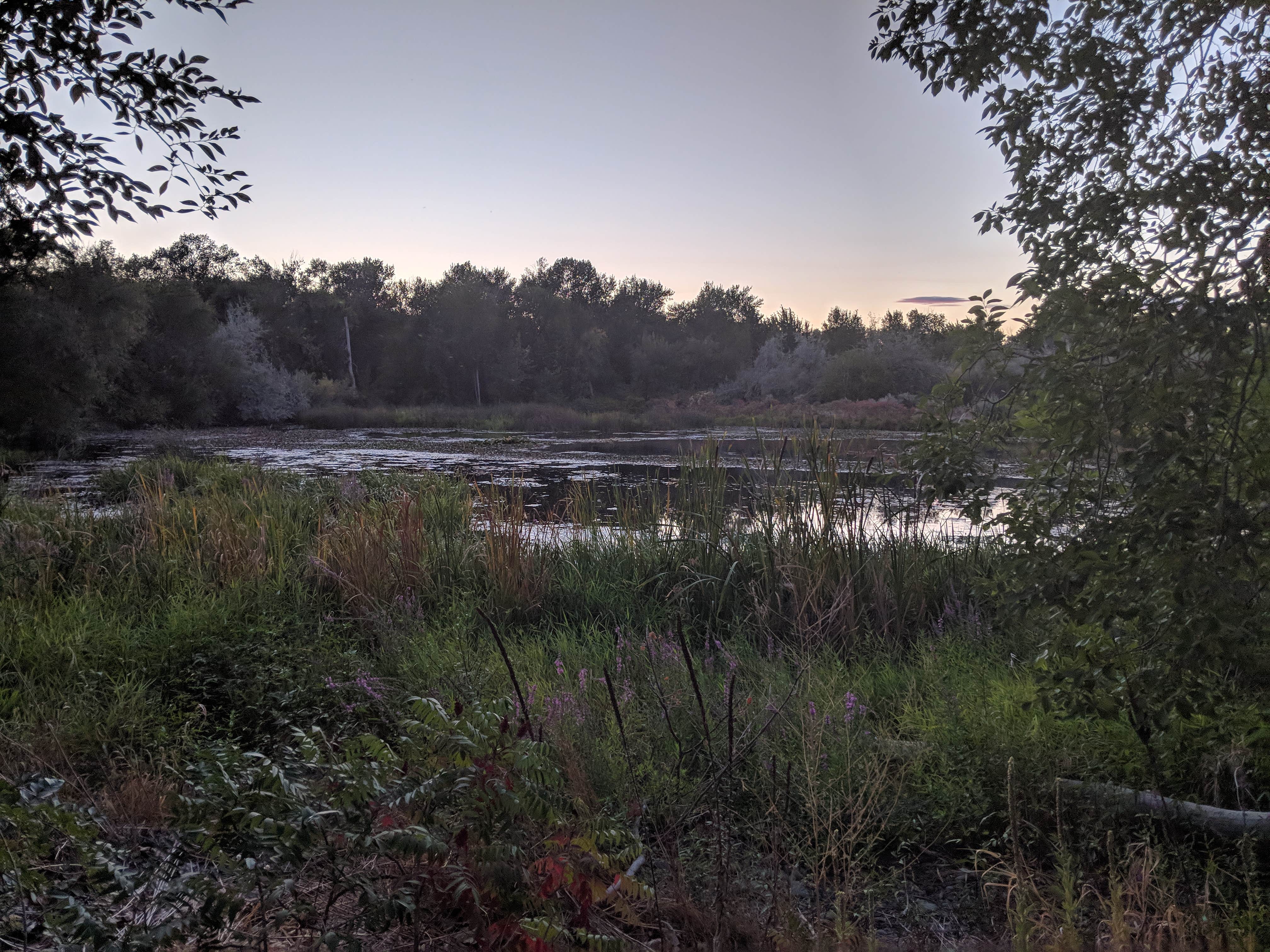 Camper submitted image from Yakima Sportsman State Park Campground - 2