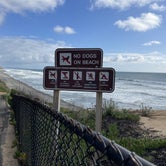 Review photo of South Carlsbad State Beach by Lee D., December 10, 2023