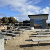 Review photo of South Carlsbad State Beach Campground by Lee D., December 10, 2023