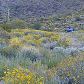 Review photo of Skyline Regional Park by Lee D., December 10, 2023