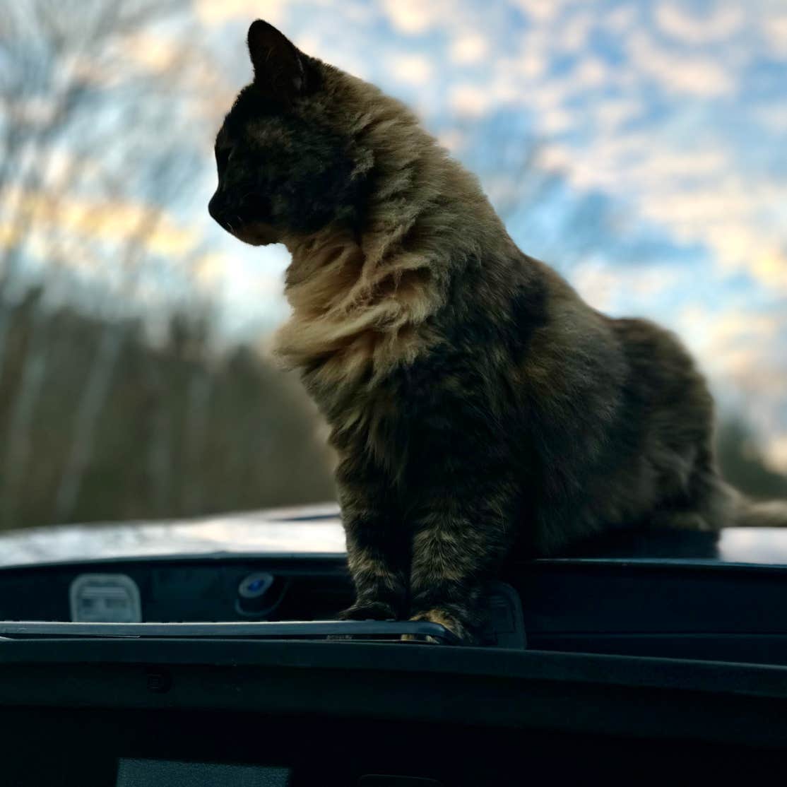 Wildcat Creek Farm Camping Lawrenceburg, KY