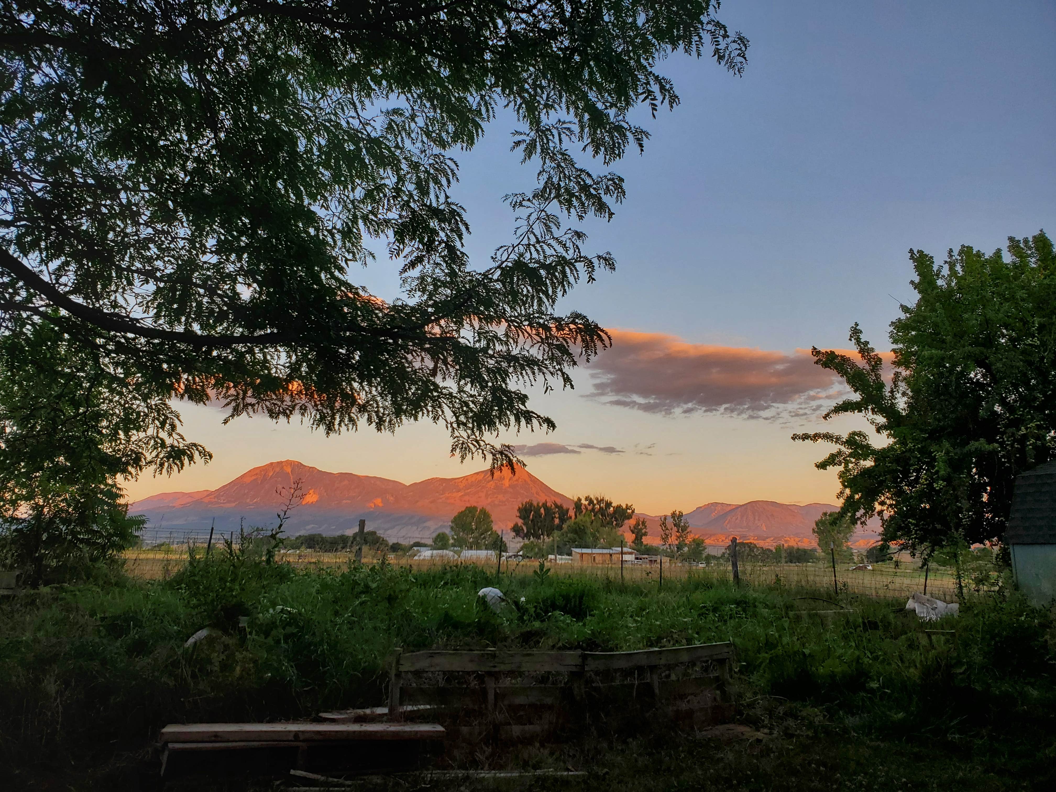 Camper submitted image from Stego Vista RV Park Hotchkiss, Colorado - 1