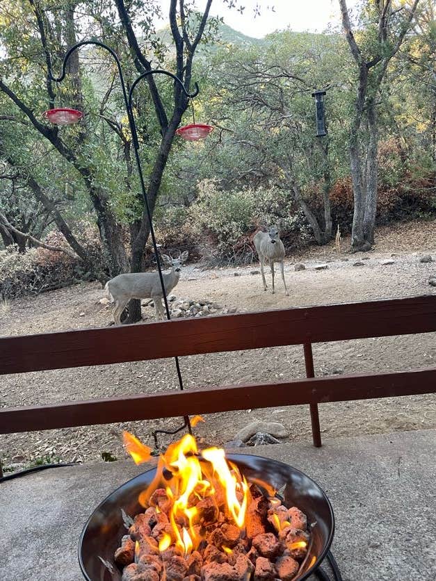Camper-submitted photo at Ramsey Canyon Cabins near Douglas, AZ