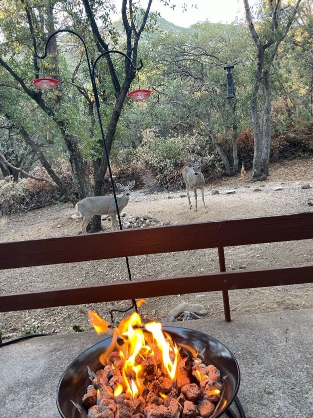 Camper submitted image from Ramsey Canyon Cabins - 2
