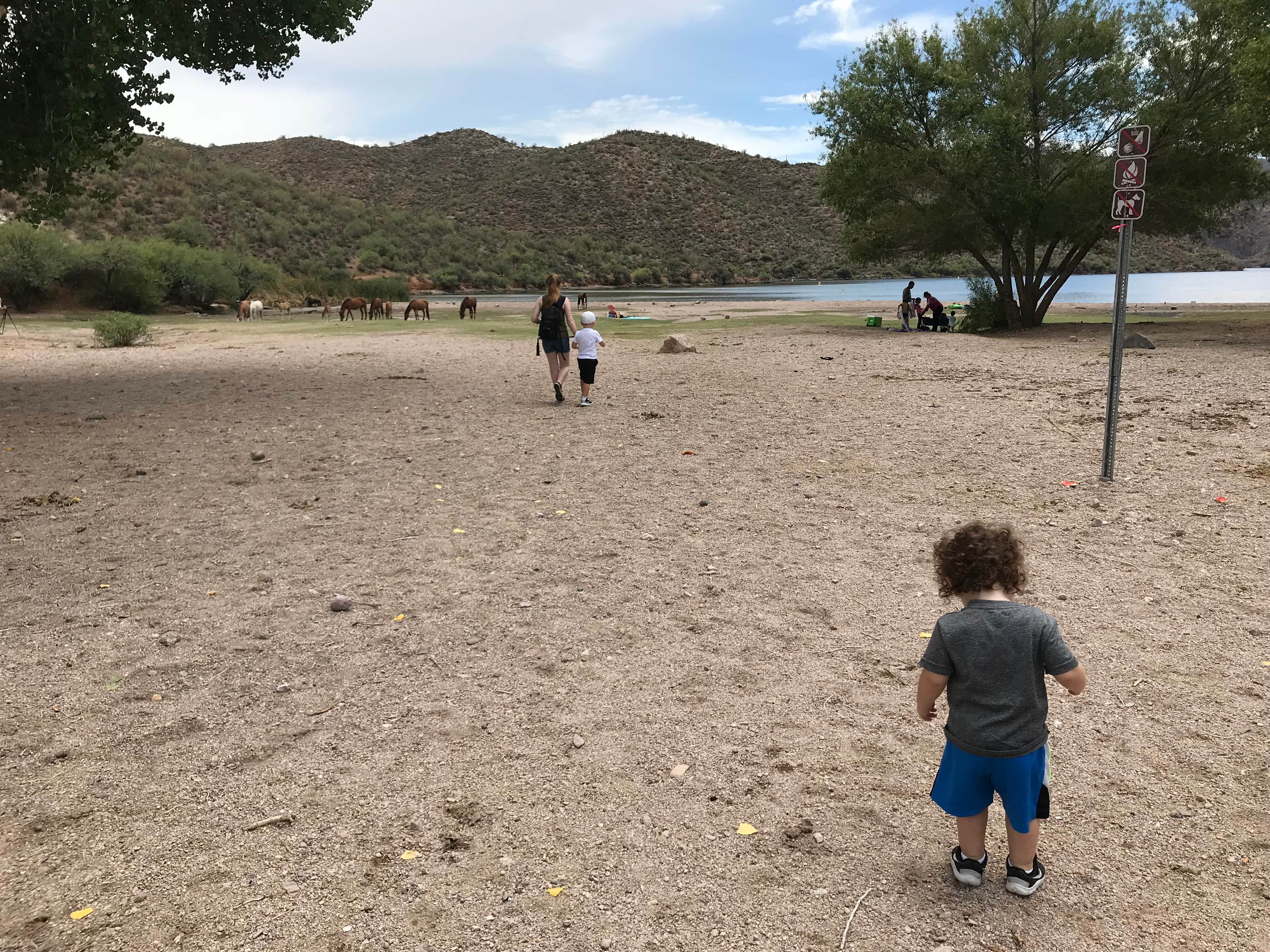 Camper submitted image from Bagley Flat Campground and Boat Dock - 5