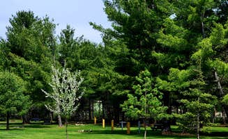 Steve W.'s photo of camping with pets at Remer Motel and Campground near Aitkin, MN