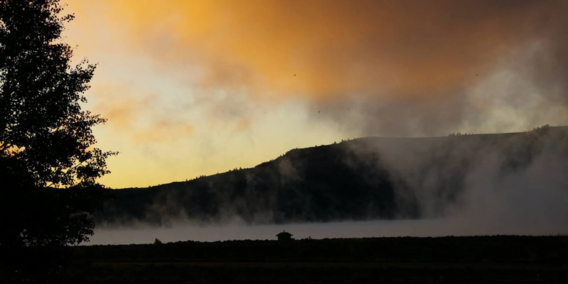 Camper submitted image from Oasis RV Resort