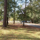 Review photo of George L Smith II State Park Campground by William N., December 13, 2023