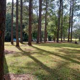 Review photo of George L Smith II State Park Campground by William N., December 13, 2023