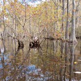 Review photo of George L Smith II State Park Campground by William N., December 13, 2023