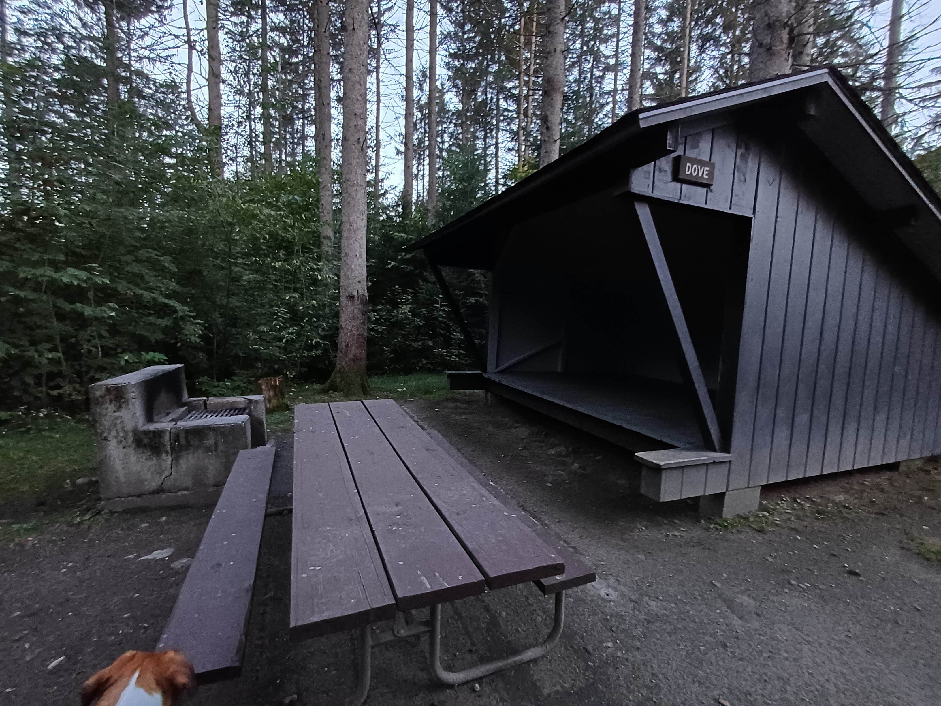 Laura M.'s photo of camping with pets at New Discovery State Park Campground near Craftsbury Common, VT