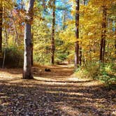 Review photo of Stephens State Park Campground by Laura M., December 14, 2023