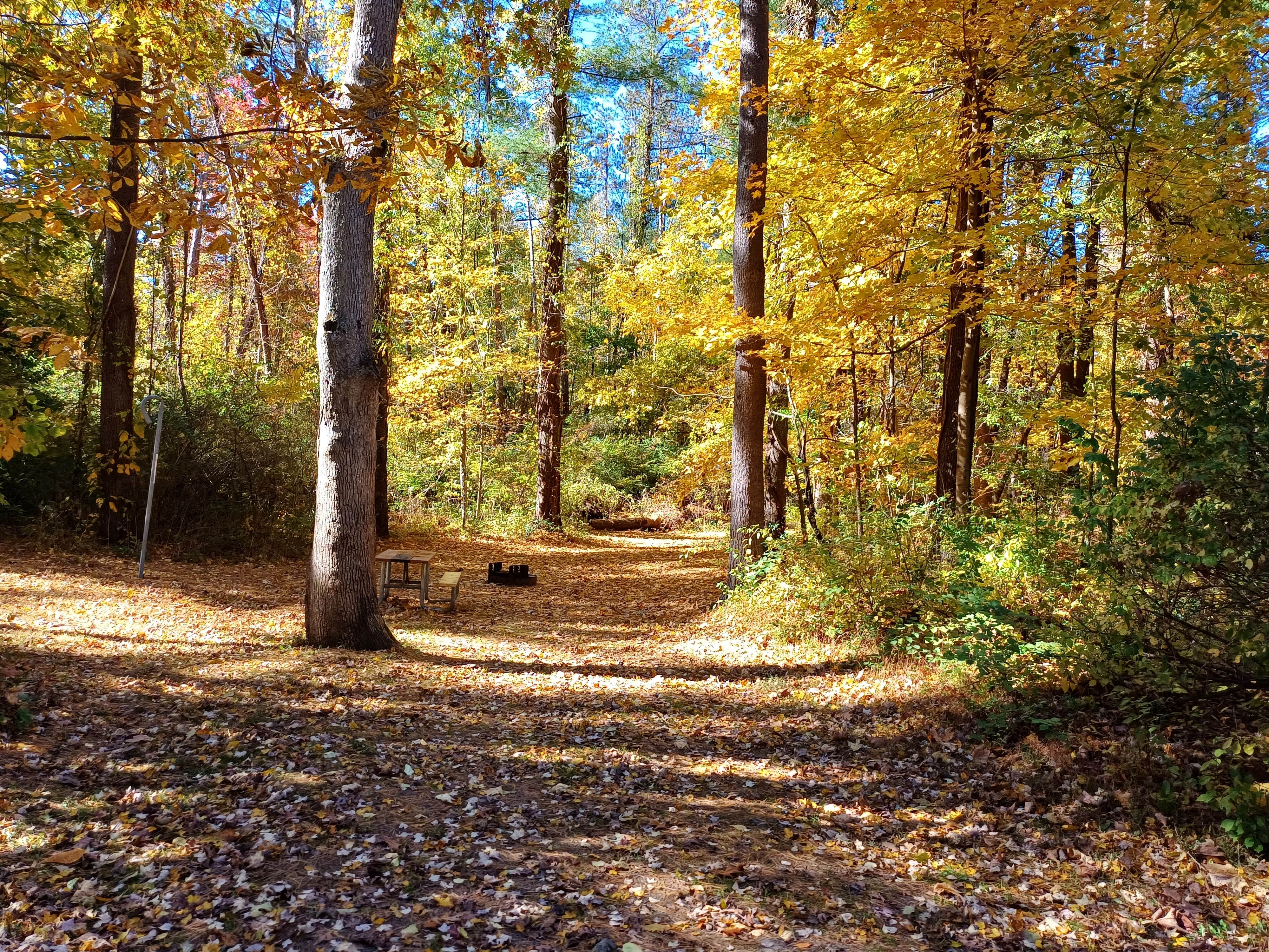 Camper submitted image from Stephens State Park Campground - 4