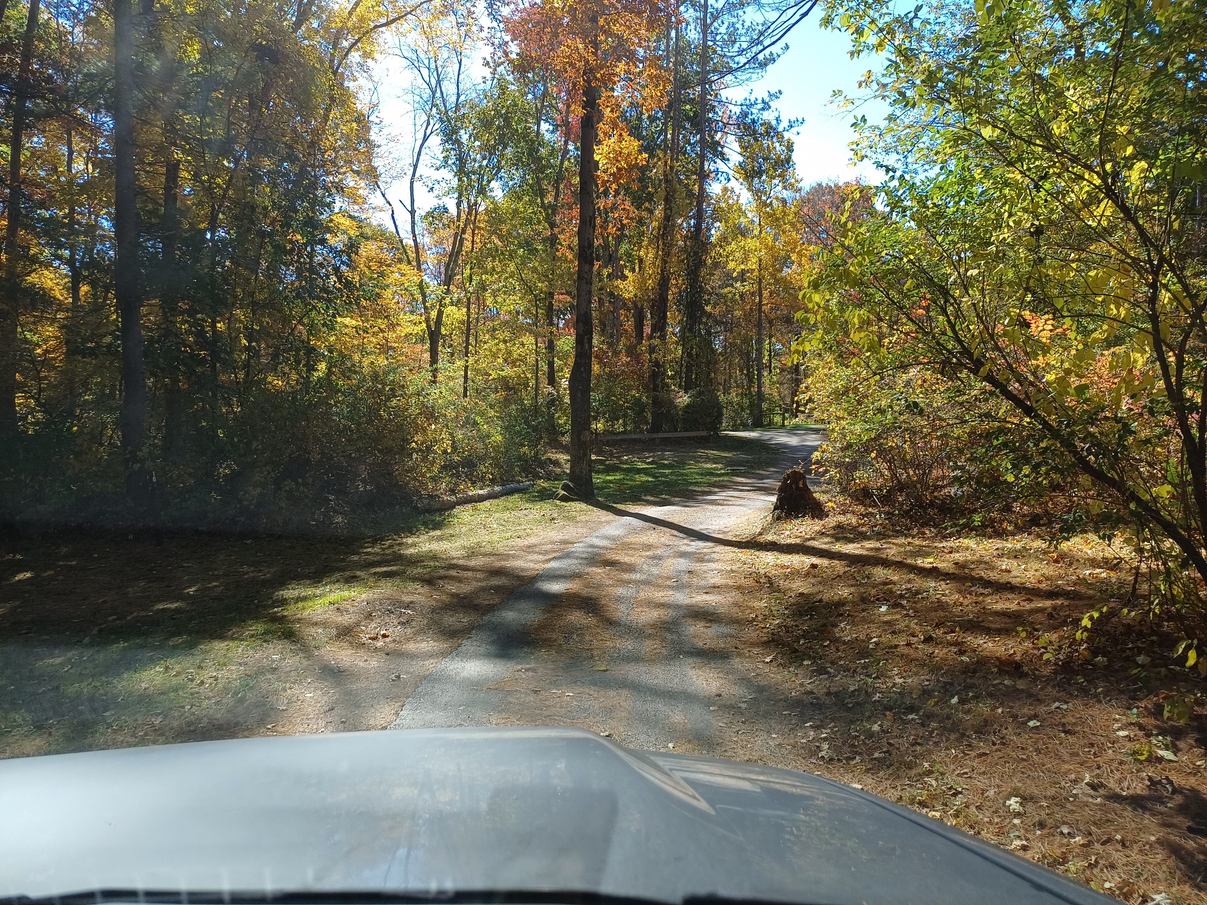 Camper submitted image from Stephens State Park Campground - 3