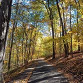 Review photo of Stephens State Park Campground by Laura M., December 14, 2023