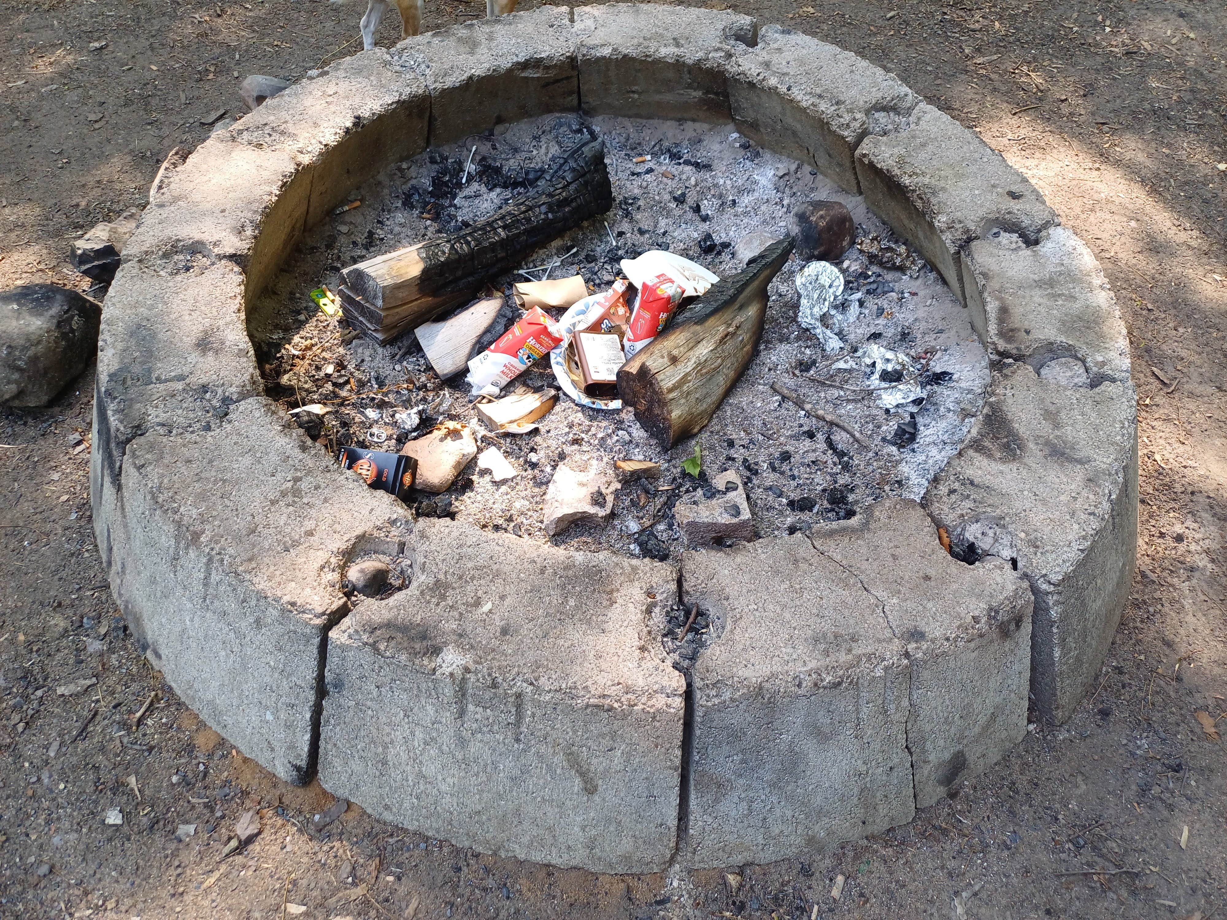 Laura M.'s photo of camping with pets at Lake Perrault near Eagle Harbor, MI