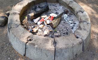 Laura M.'s photo of camping with pets at Lake Perrault near Ontonagon, MI