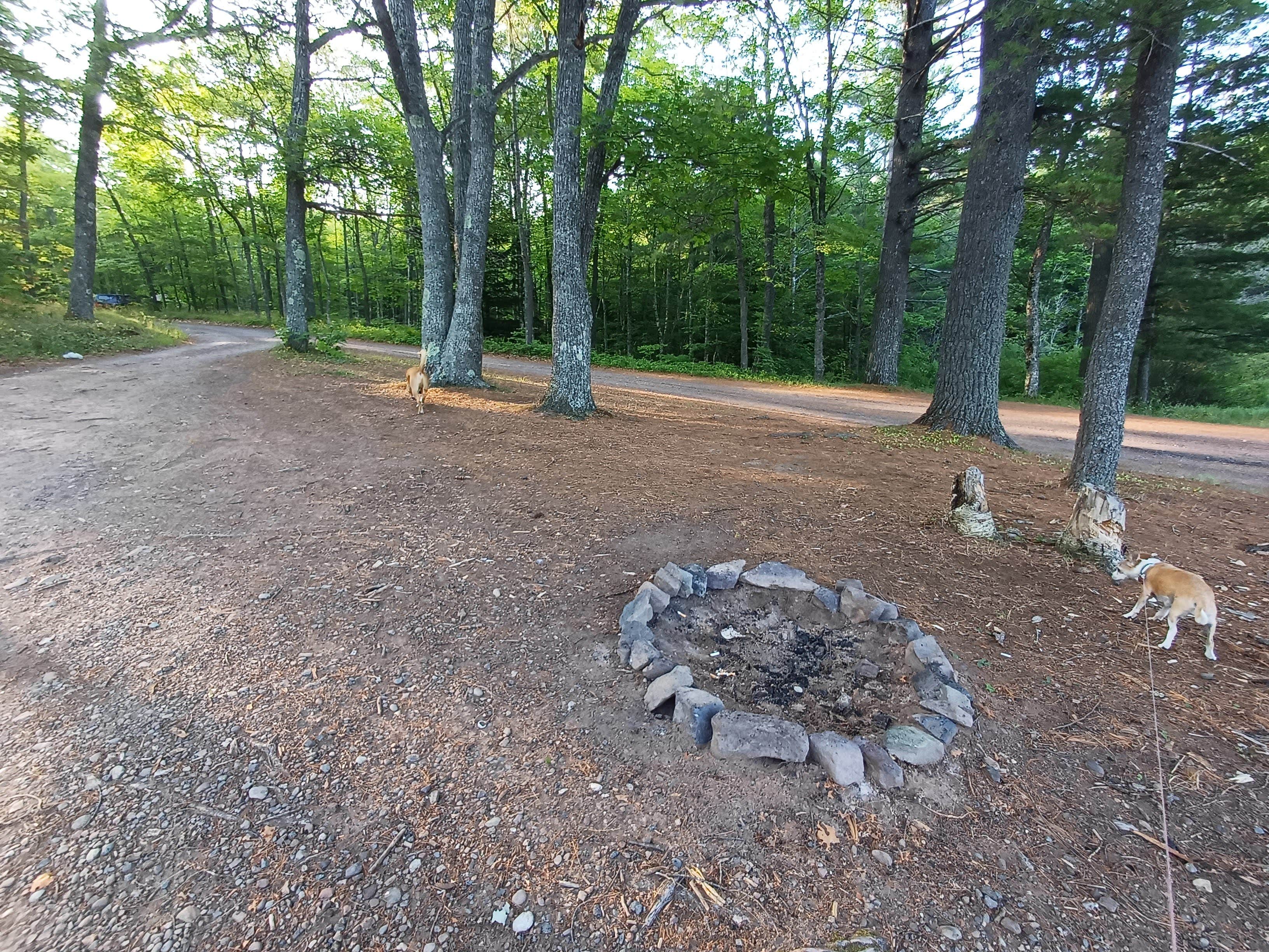 Laura M.'s photo of camping with pets at Lake Perrault near Ontonagon, MI
