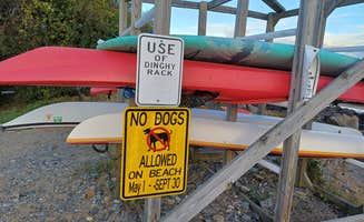 Laura M.'s photo of camping with pets at Winter Island Park near Rockport, MA