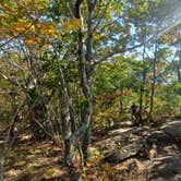 Review photo of Camden Hills State Park Campground by Laura M., December 14, 2023