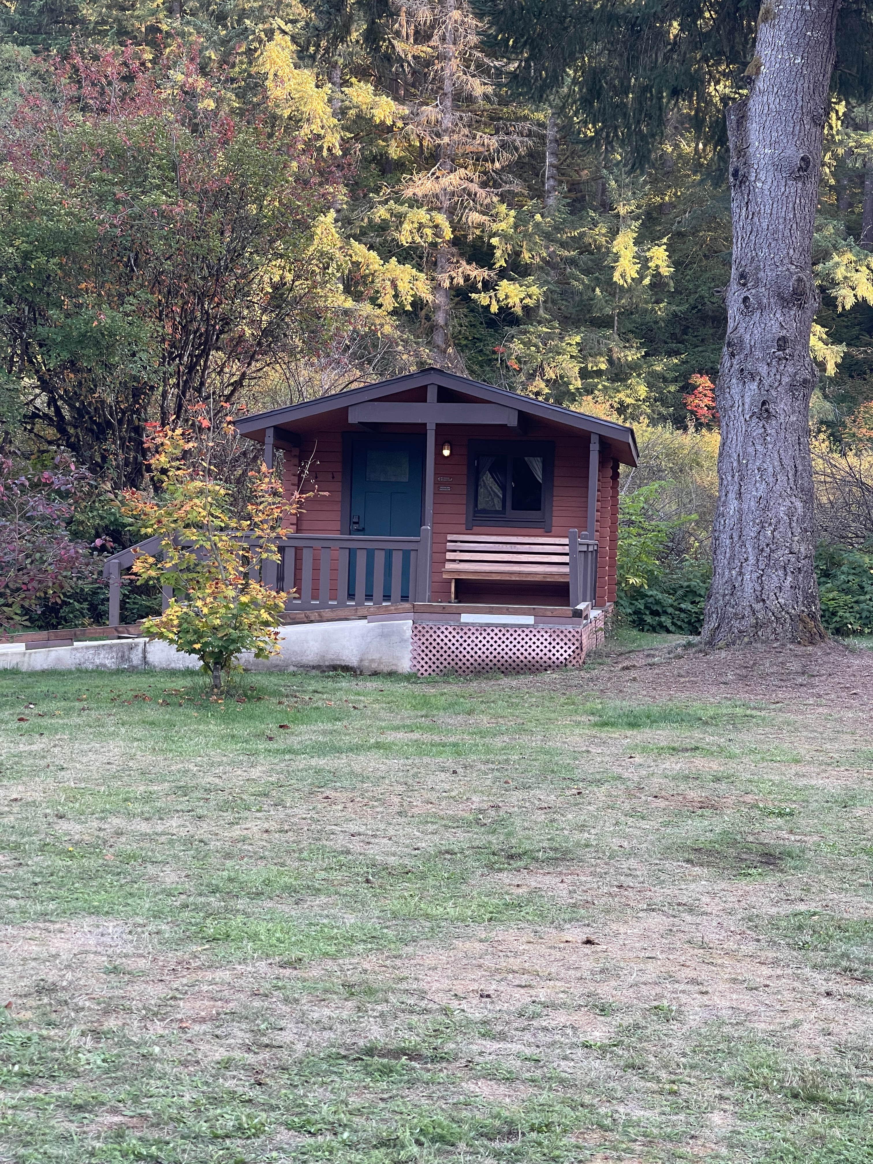 Lee D.'s photo of glamping accommodations at Silver Falls State Park Campground near Sweet Home, OR