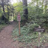 Review photo of Silver Falls State Park Campground by Lee D., December 14, 2023