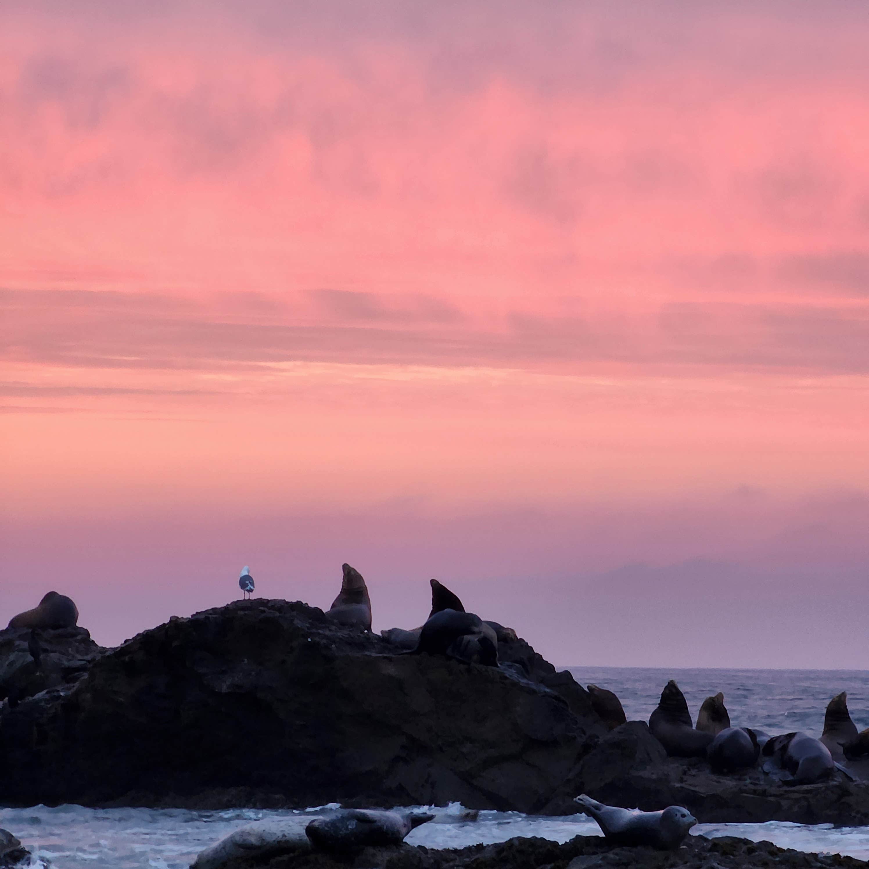 Camper-submitted photo at Shelter Cove Campground near Piercy, CA
