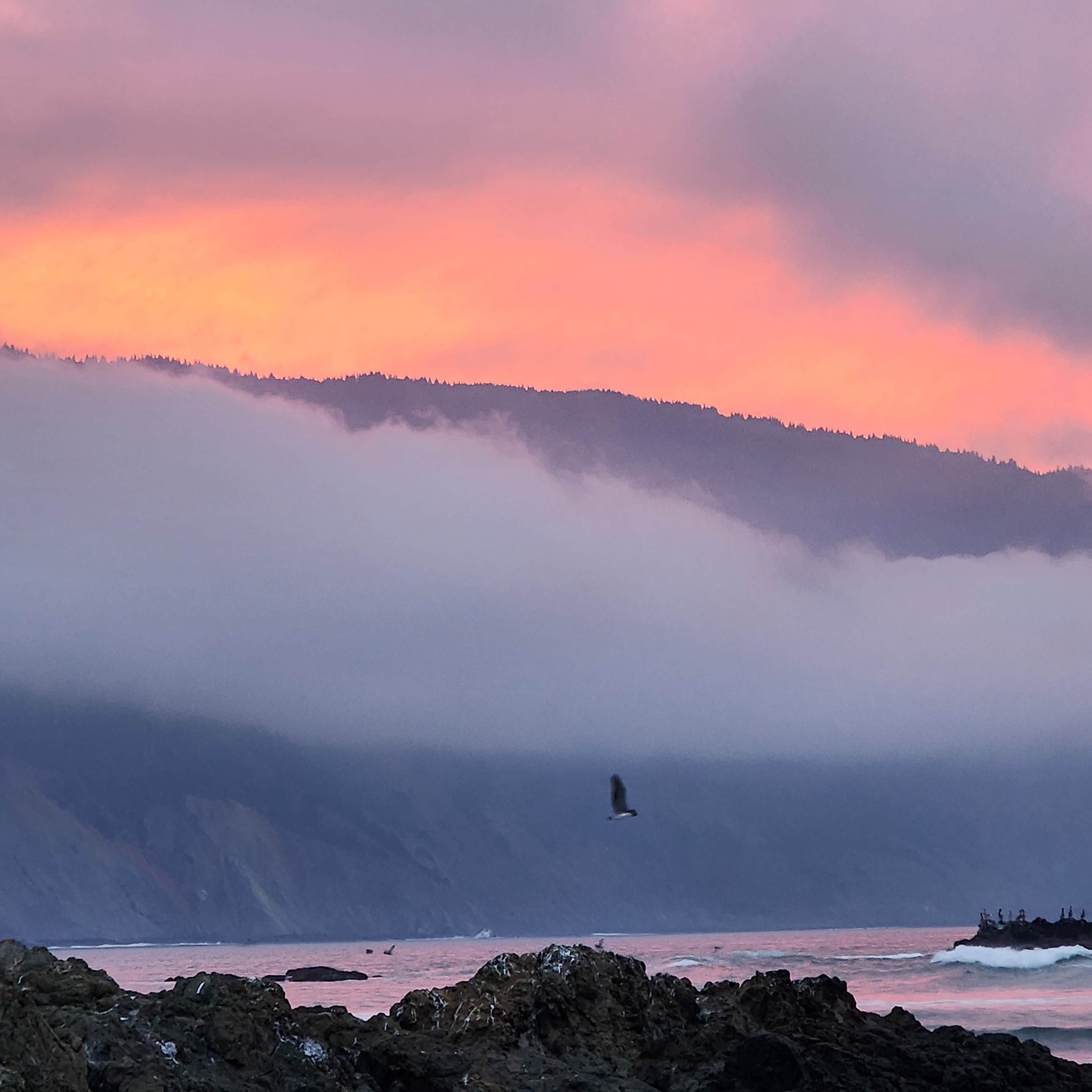 Camper-submitted photo at Shelter Cove Campground near Piercy, CA