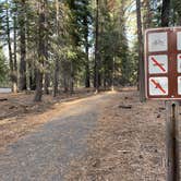 Review photo of General Creek Campground — Sugar Pine Point State Park by Lee D., December 15, 2023