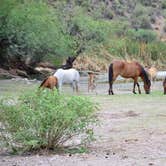 Review photo of Bagley Flat Campground and Boat Dock by Audrey R., November 1, 2018