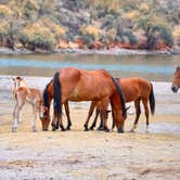 Review photo of Bagley Flat Campground and Boat Dock by Audrey R., November 1, 2018