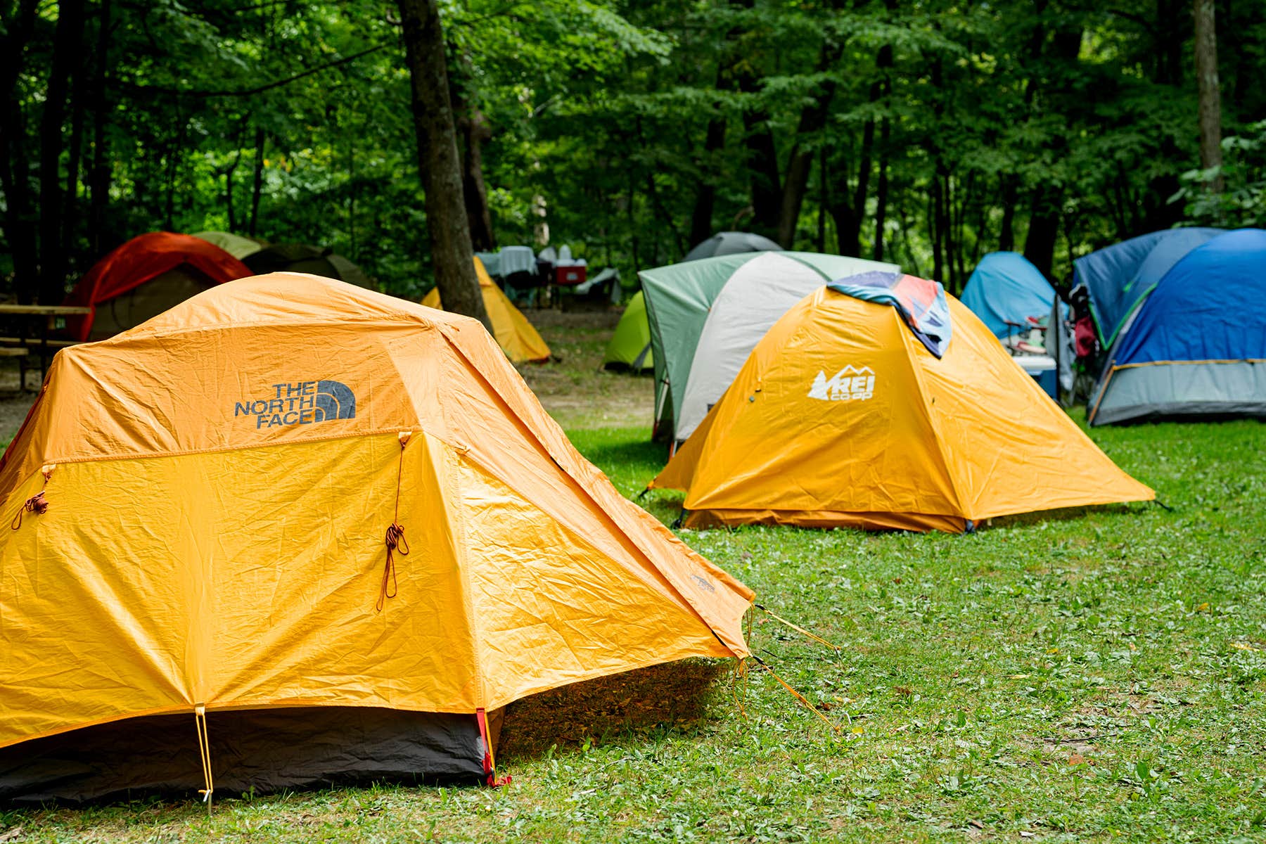 LEAANN's photo at Skillet Creek Campground near Baraboo, WI