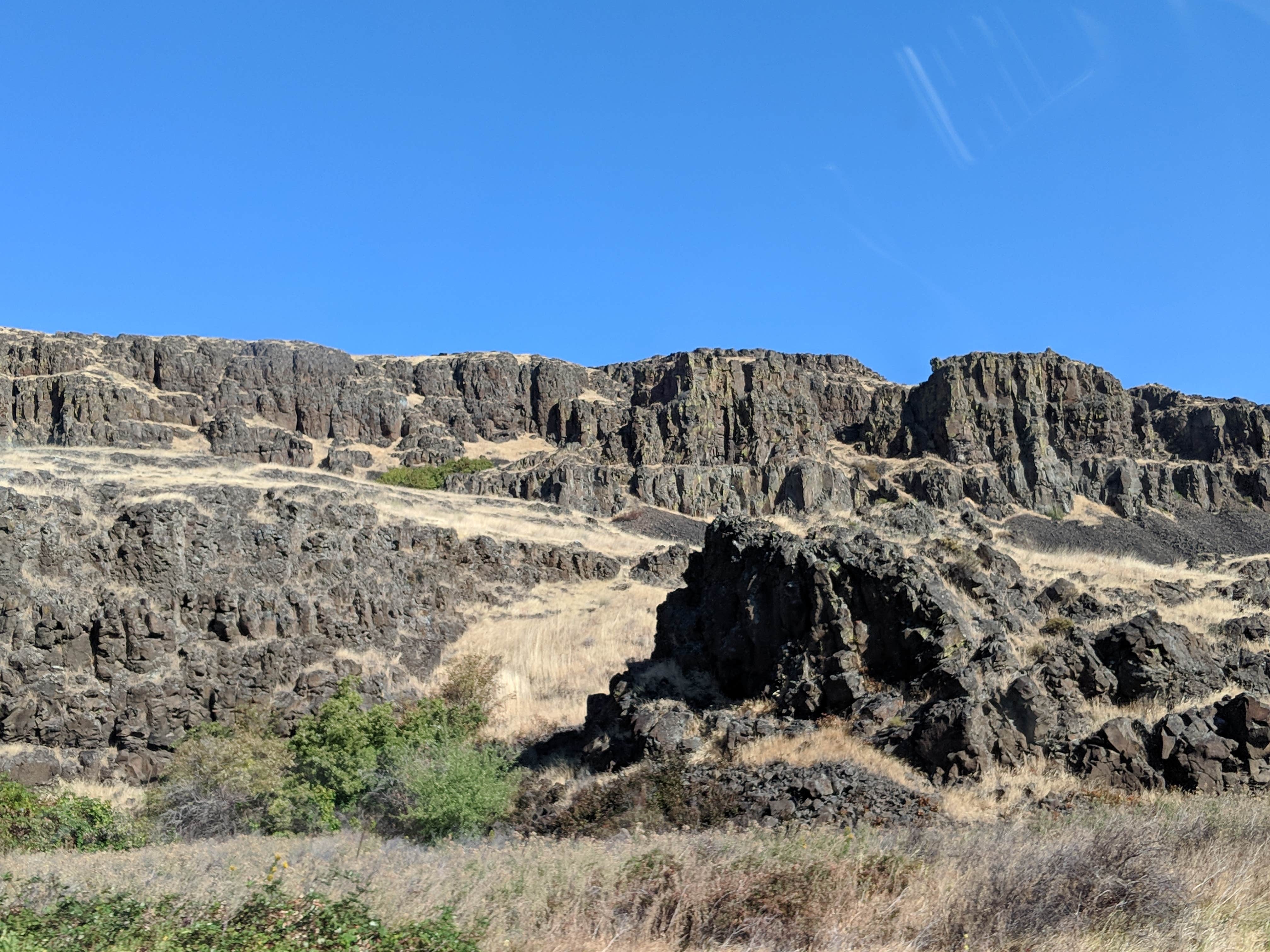 Camper submitted image from Rock Creek Park -NOW DAY-USE ONLY - 2