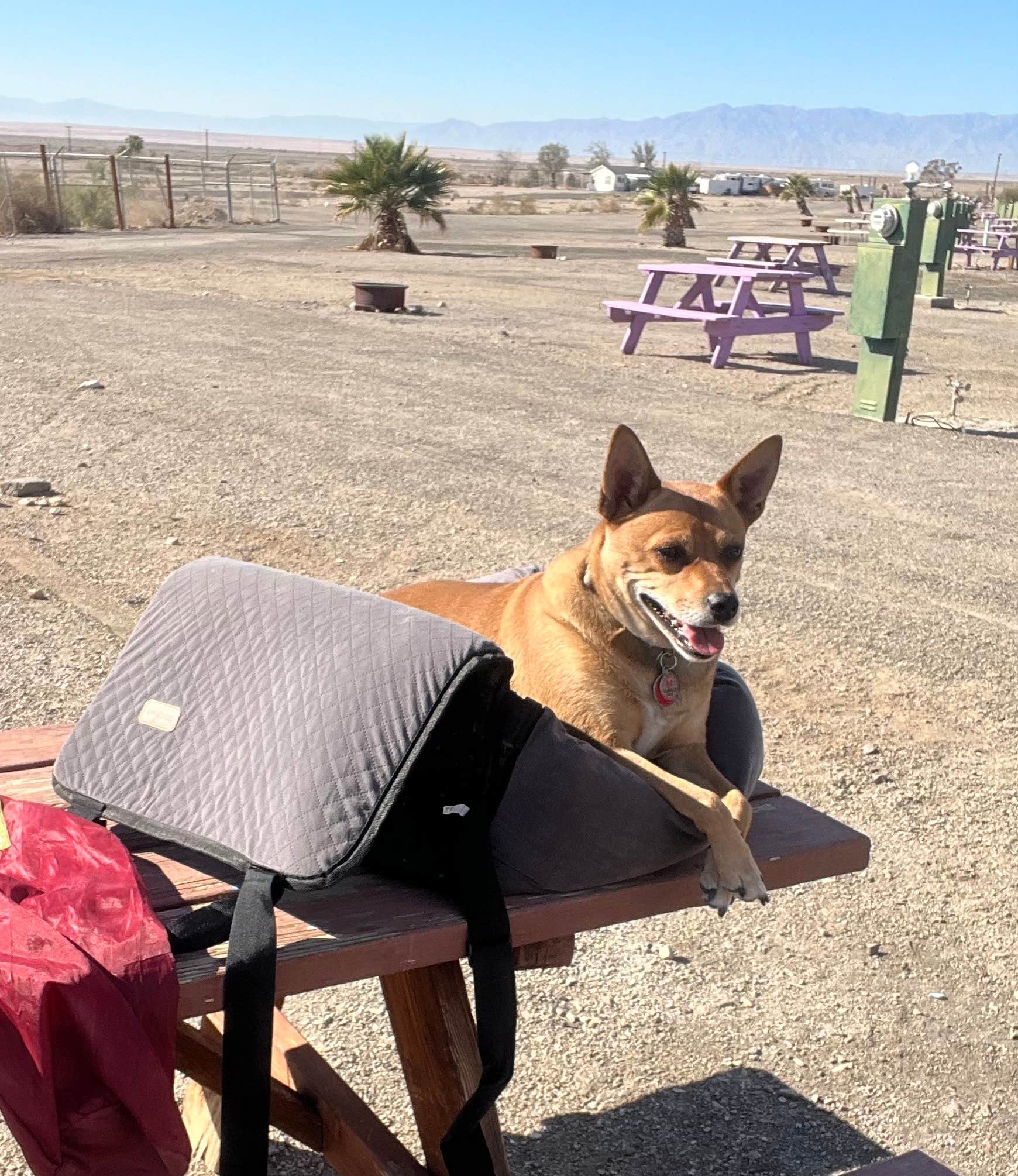 Camper-submitted photo at Glamis North Hot Springs Resort near Calipatria, CA
