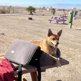 Review photo of Glamis North Hot Springs Resort by Rachel M., December 16, 2023