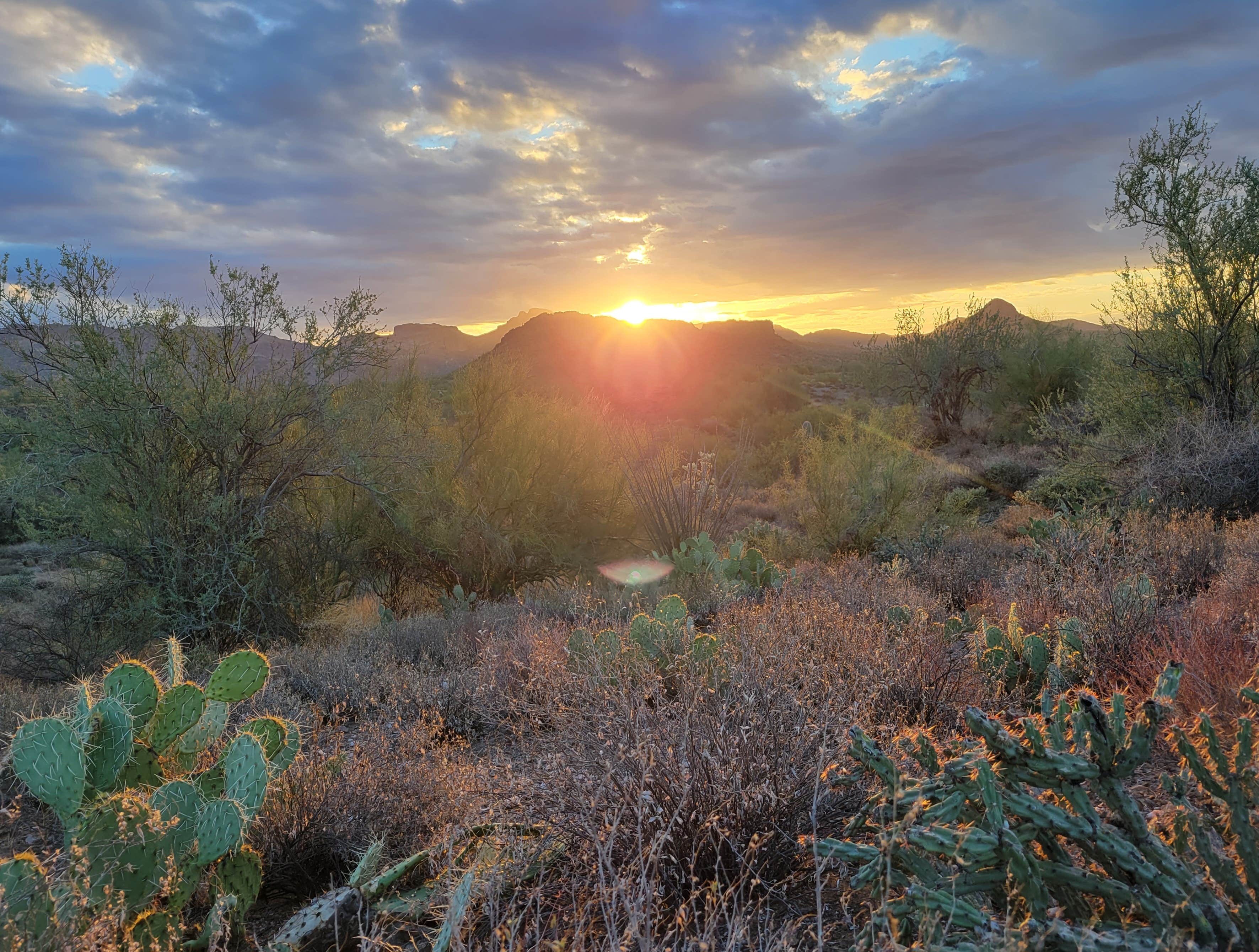 Harriet D.'s photo of a dispersed camping area at Peralta Canyon / Gold Canyon Dispersed Camping - PERMANENTLY CLOSED near Mesa, AZ