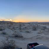 Review photo of Joshua Tree South Dispersed Camping by Jared B., December 14, 2023