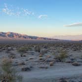 Review photo of Joshua Tree South Dispersed Camping by Jared B., December 14, 2023