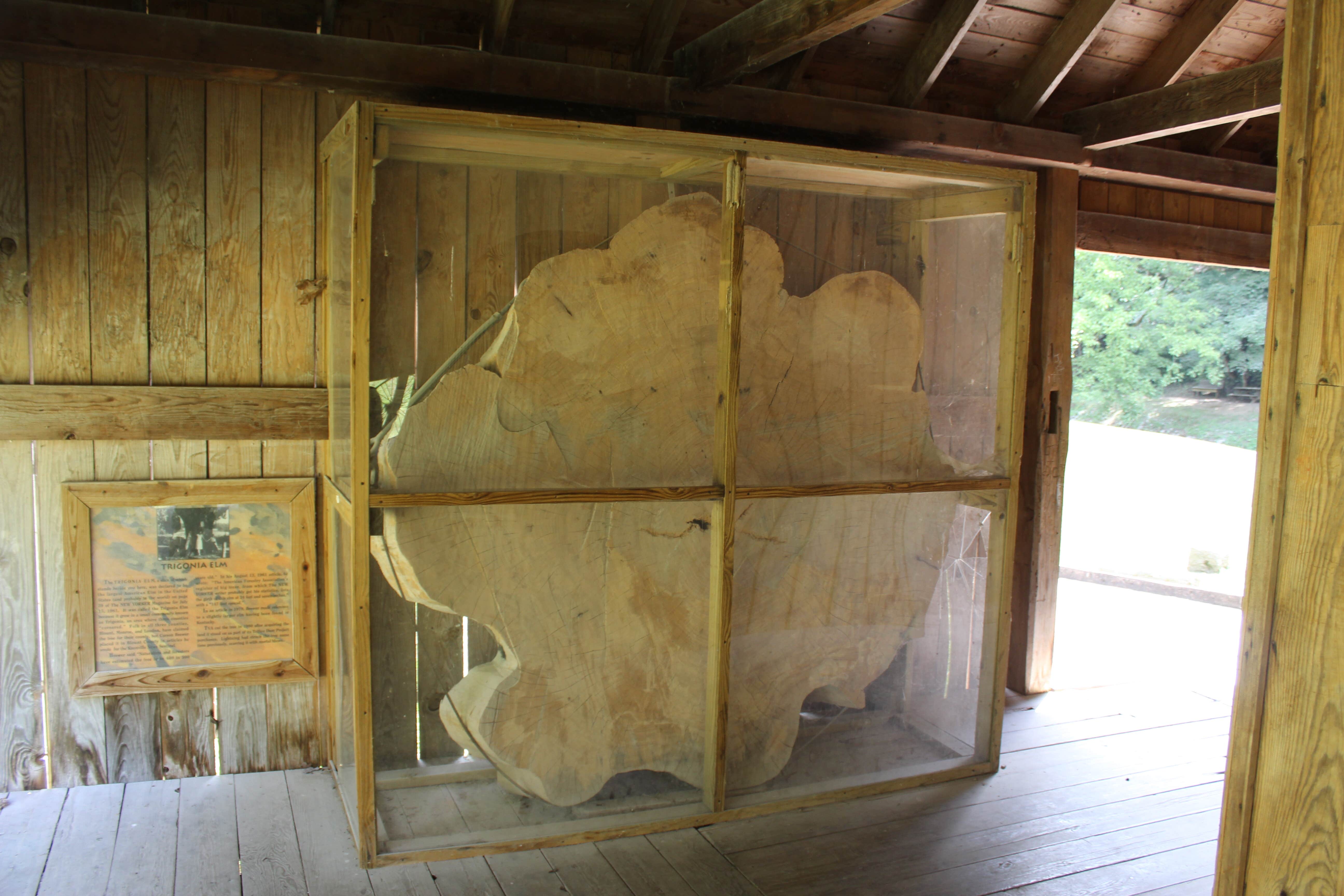 Camper-submitted photo at Poland Creek near Clinton, TN