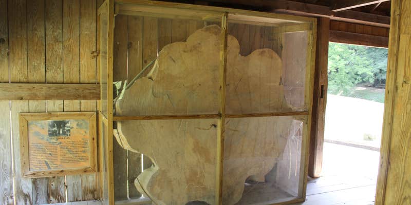 Camper submitted image from Poland Creek