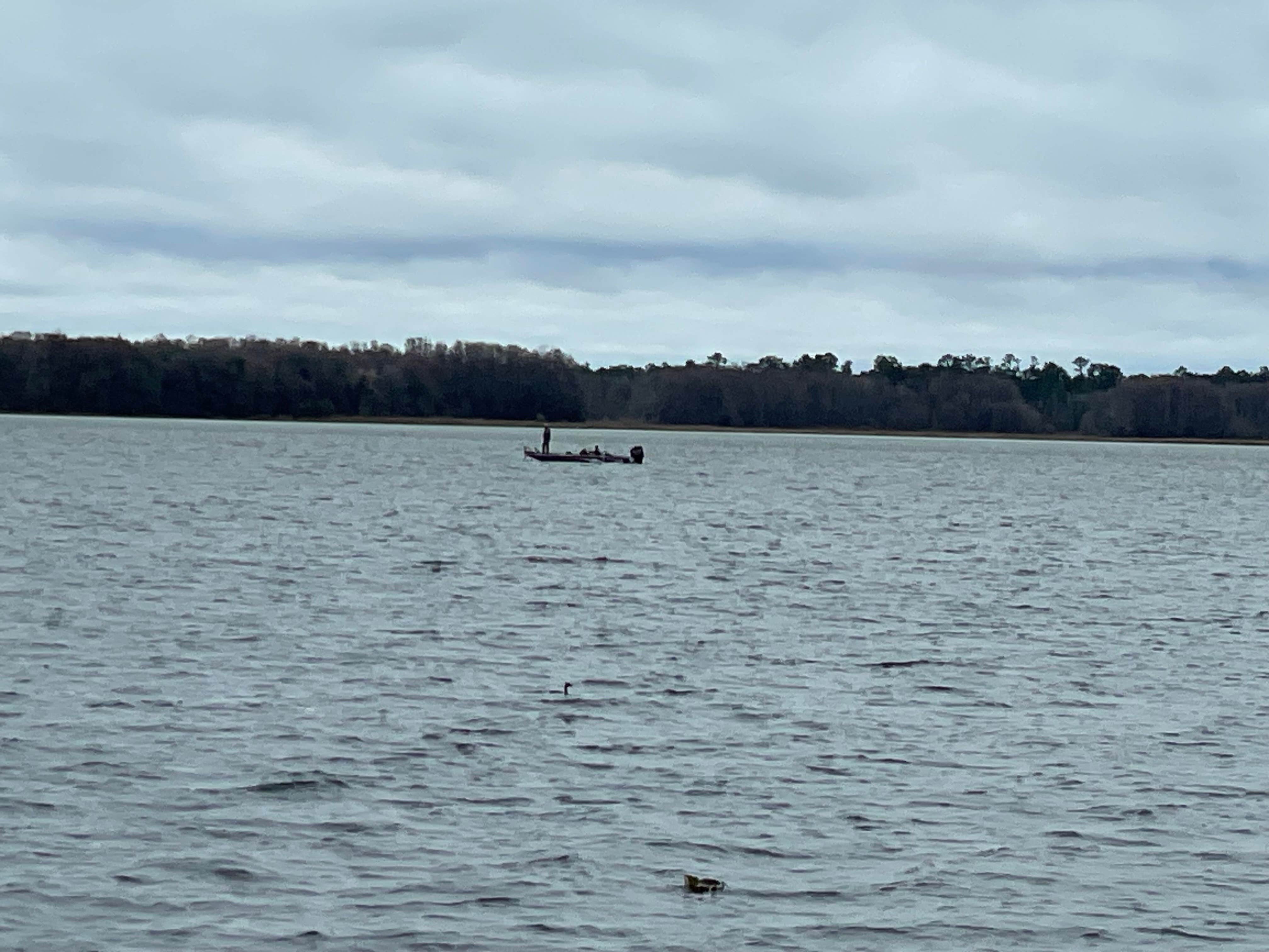 Camper-submitted photo at Twin Pines Lakeside RV near Chattahoochee, FL