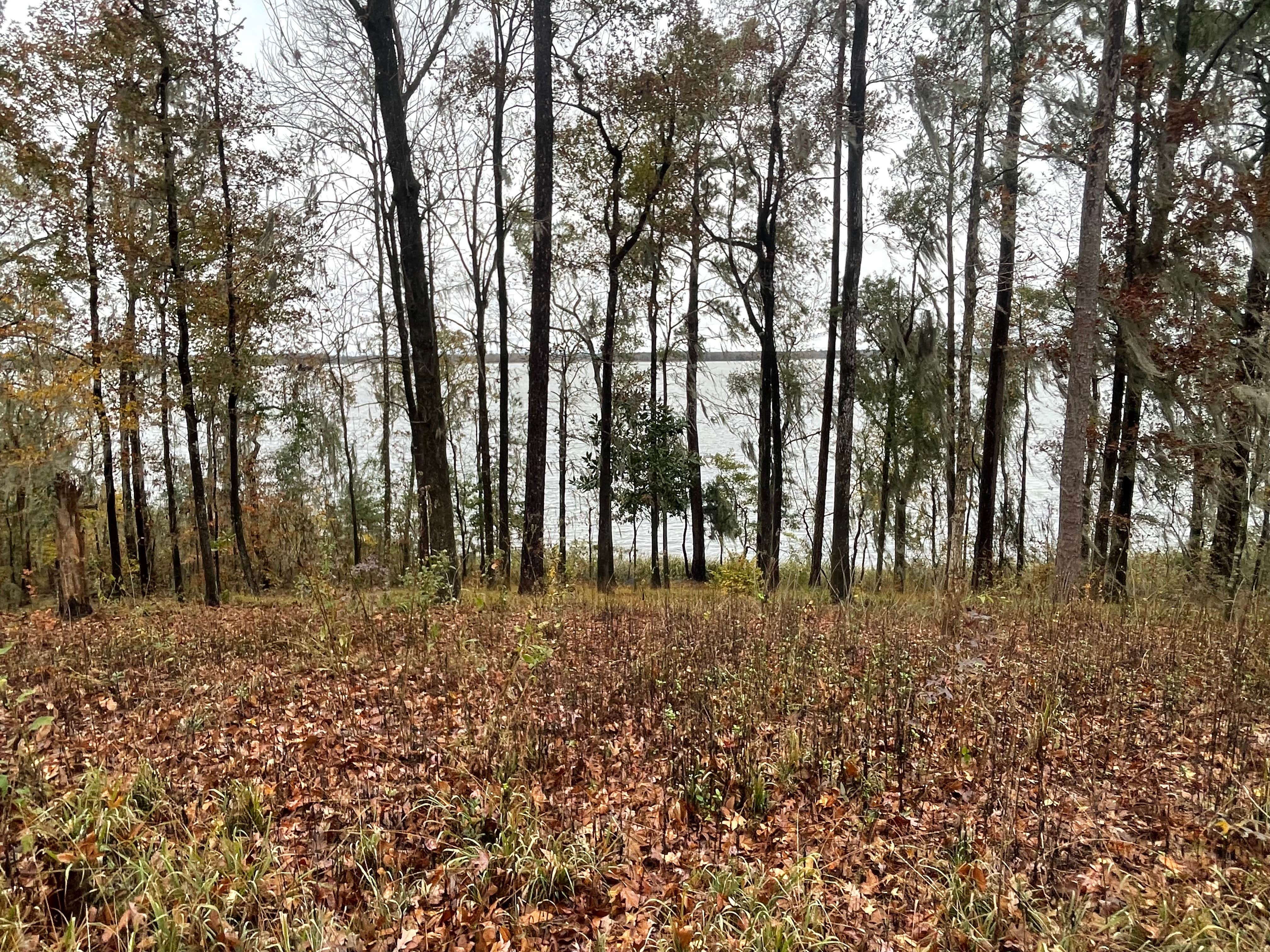 Camper-submitted photo at Twin Pines Lakeside RV near Chattahoochee, FL