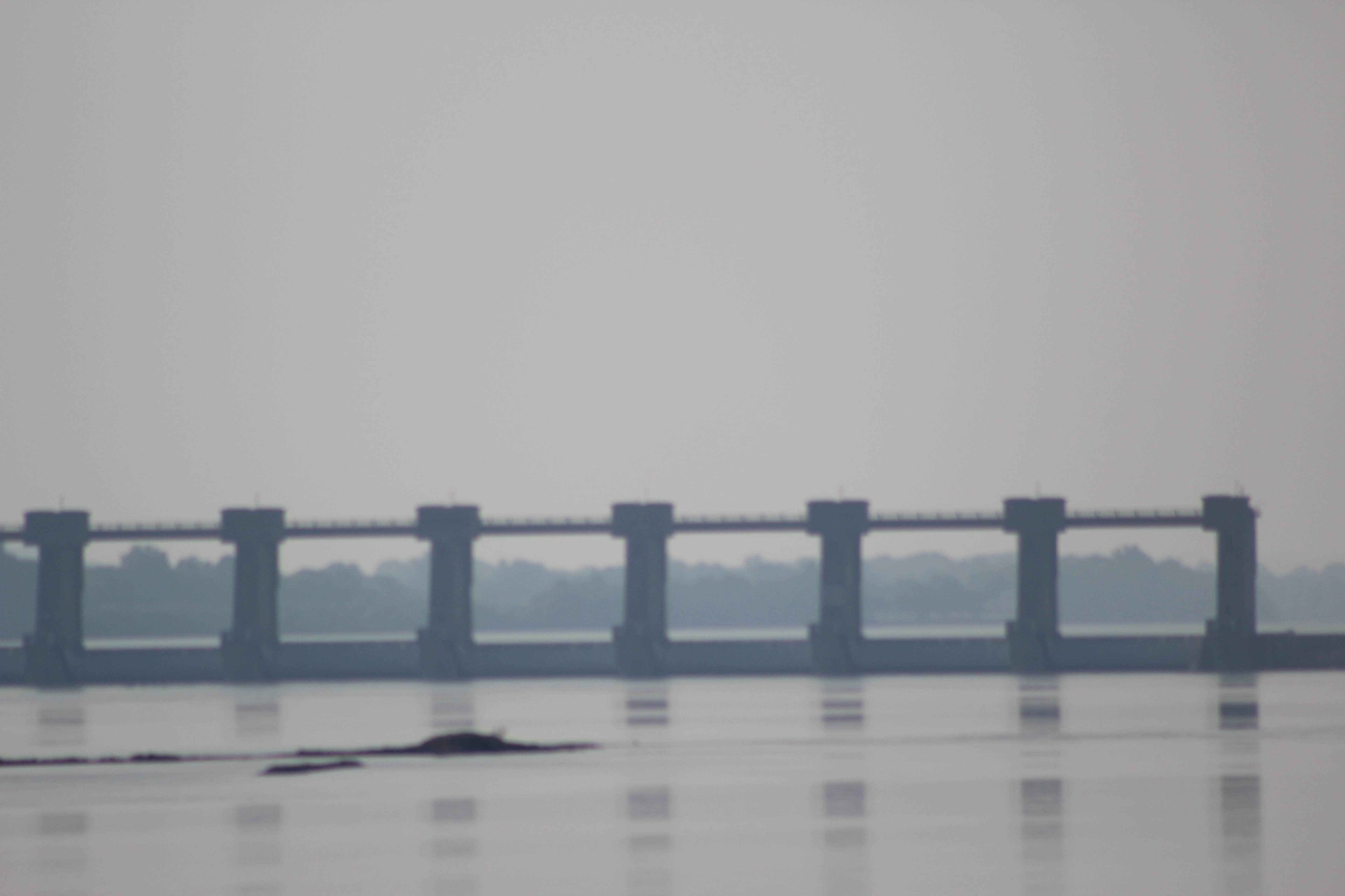 Camper-submitted photo at Poland Creek near Clinton, TN