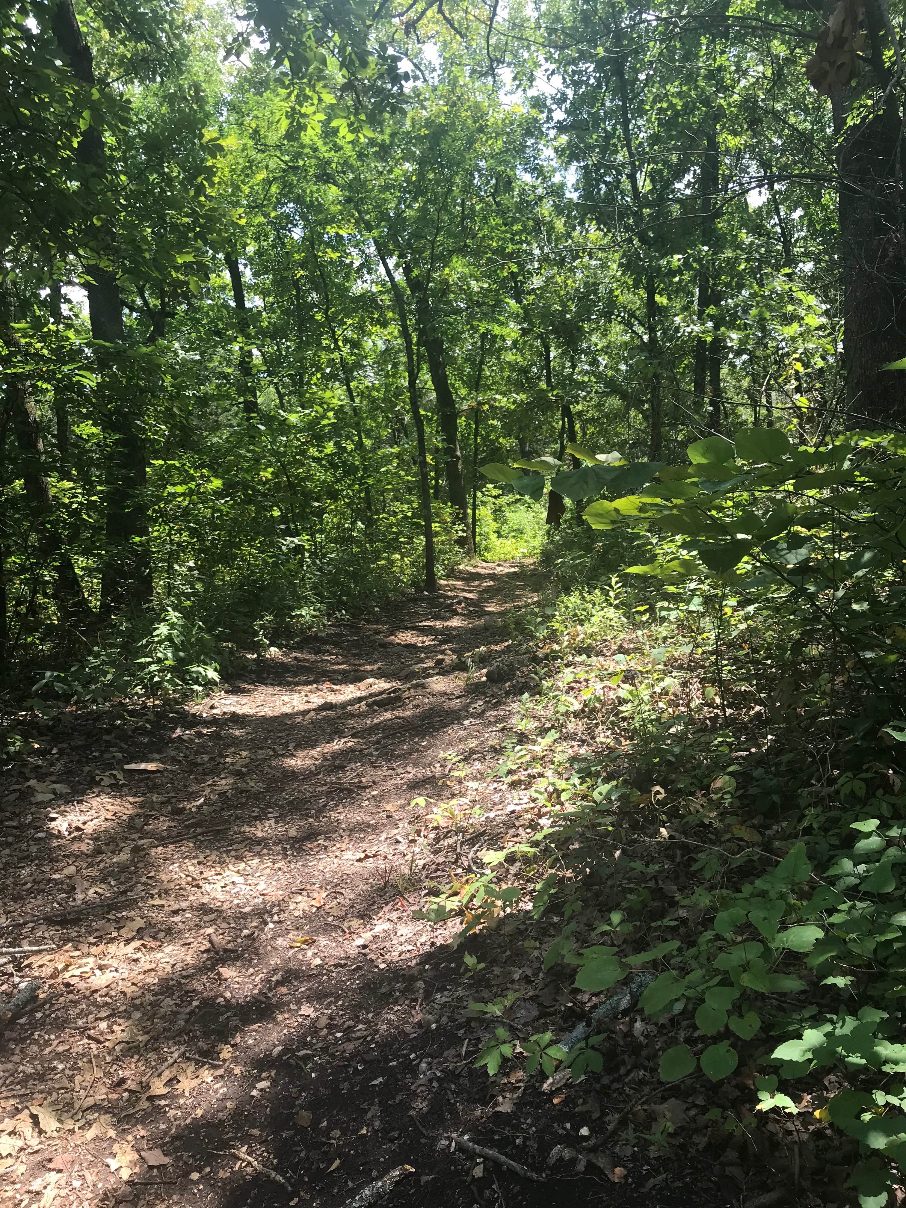 Camper-submitted photo at Poland Creek near Clinton, TN
