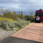 Review photo of Twin Peaks Campground — Organ Pipe Cactus National Monument by Lee D., December 19, 2023