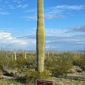 Review photo of Twin Peaks Campground — Organ Pipe Cactus National Monument by Lee D., December 19, 2023