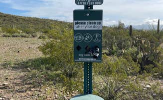 Lee D.'s photo of camping with pets at Twin Peaks Campground — Organ Pipe Cactus National Monument near Organ Pipe Cactus National Monument