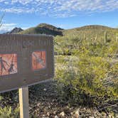 Review photo of Twin Peaks Campground — Organ Pipe Cactus National Monument by Lee D., December 19, 2023