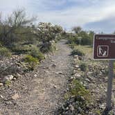 Review photo of Twin Peaks Campground — Organ Pipe Cactus National Monument by Lee D., December 19, 2023