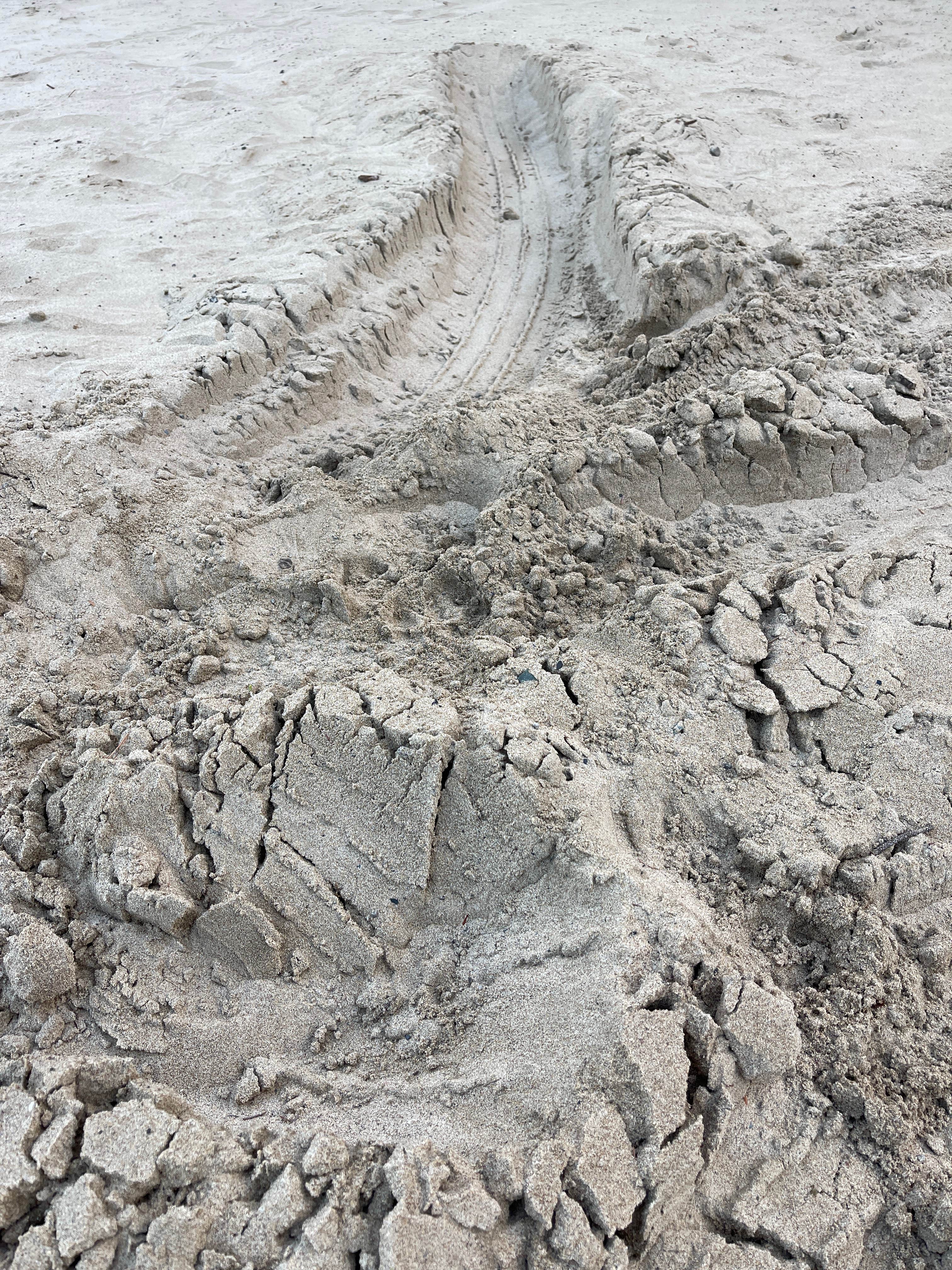 Camper-submitted photo at Sun Outdoors Coos Bay near Bandon, OR